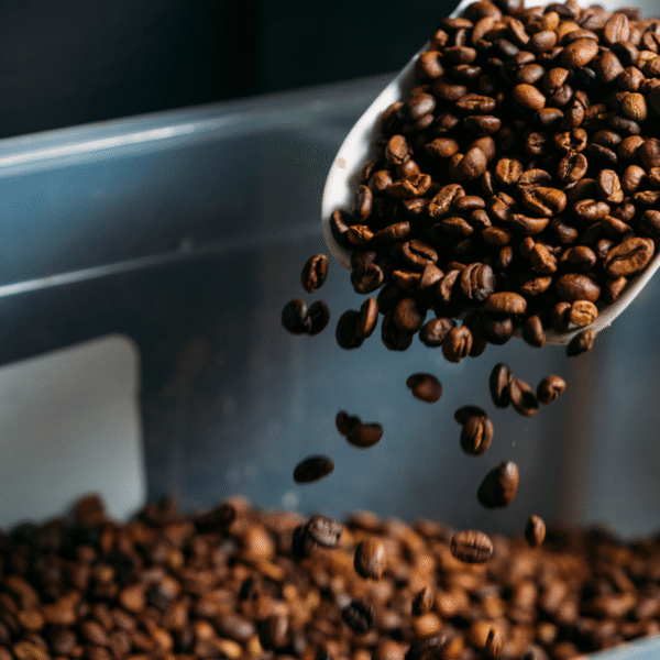 coffee beans roaster
