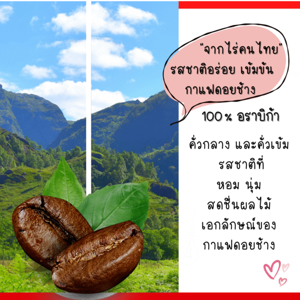 coffee bean on mountain