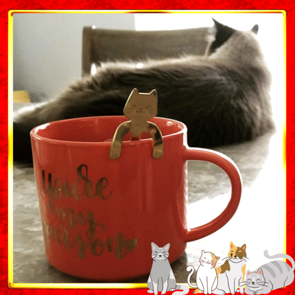 cat coffee spoon